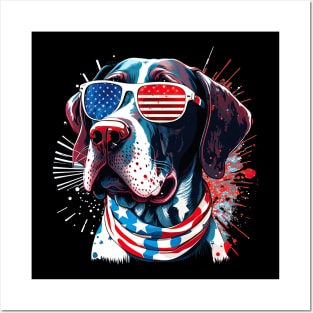 Pointer dog 4th of July Posters and Art